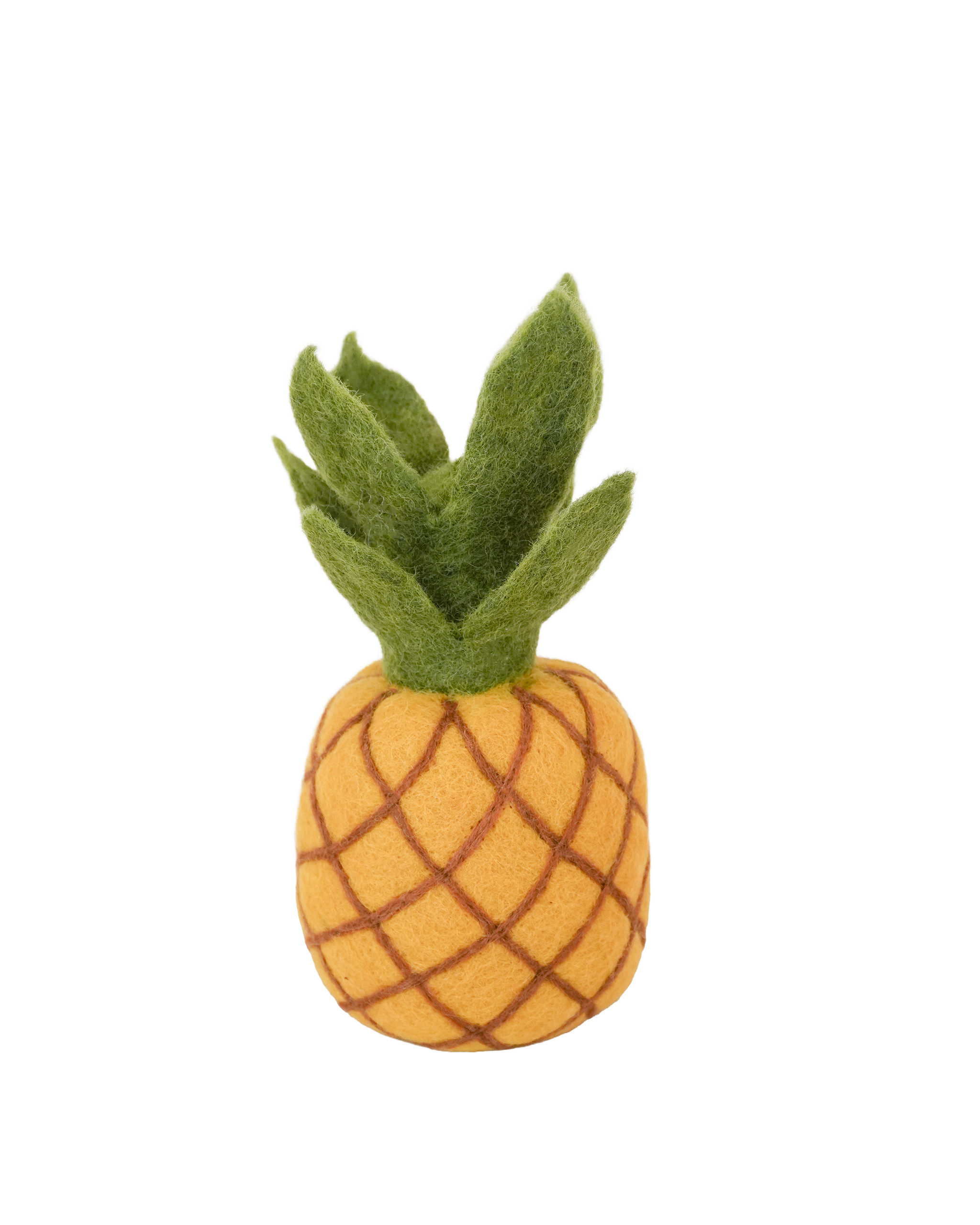 Tropical Summer Fruit Set
