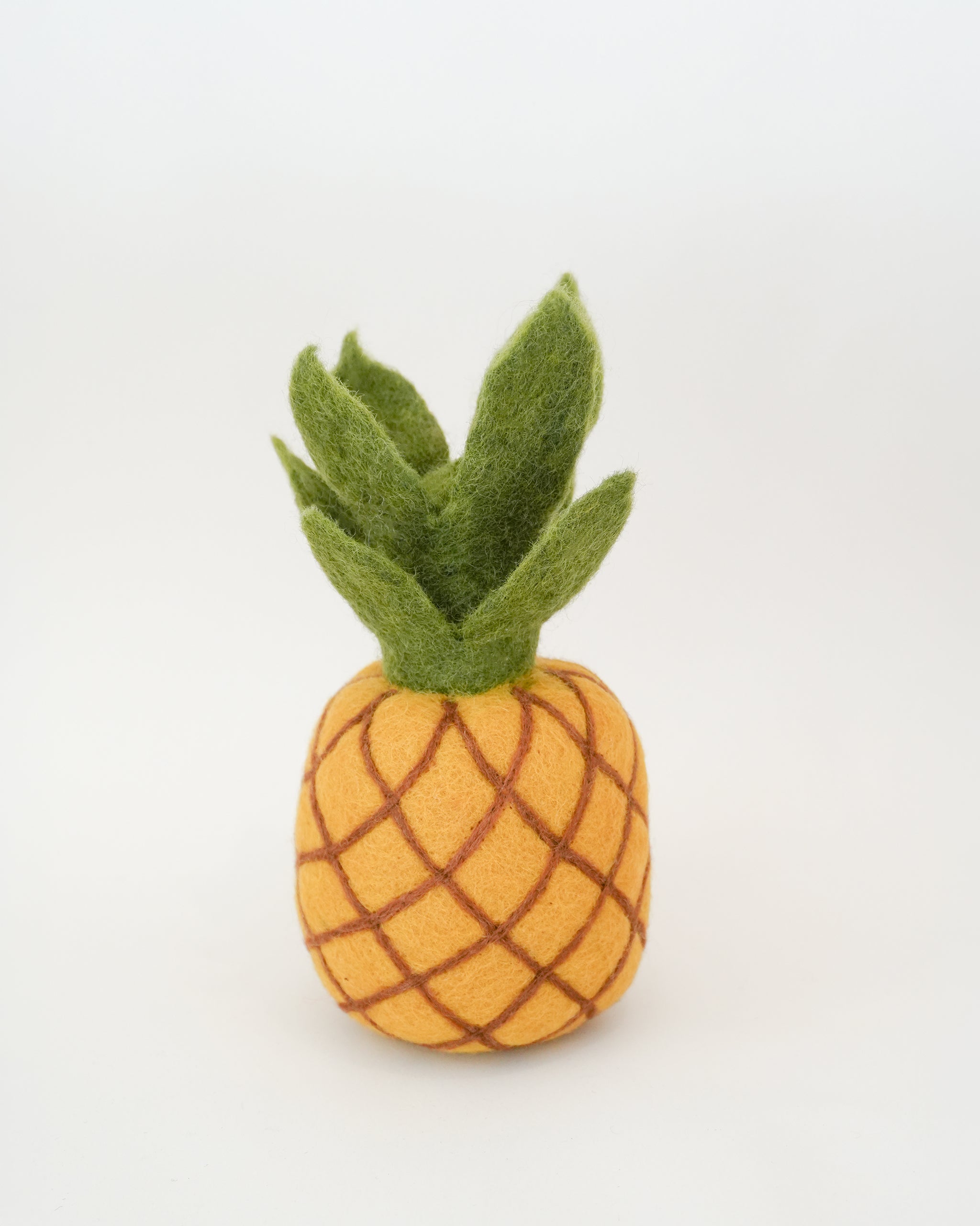 Tropical Summer Fruit Set