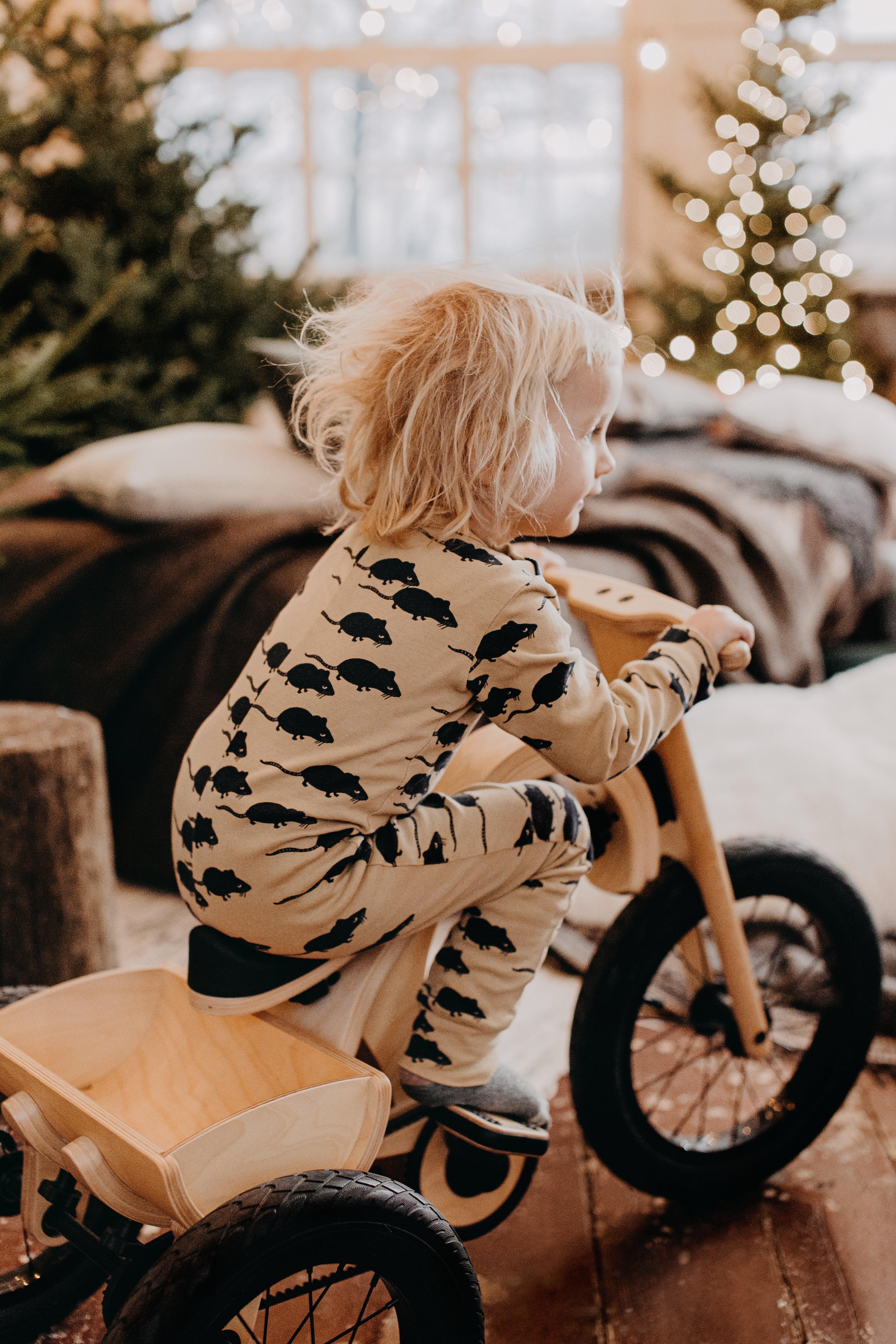 Tricycle Add-on