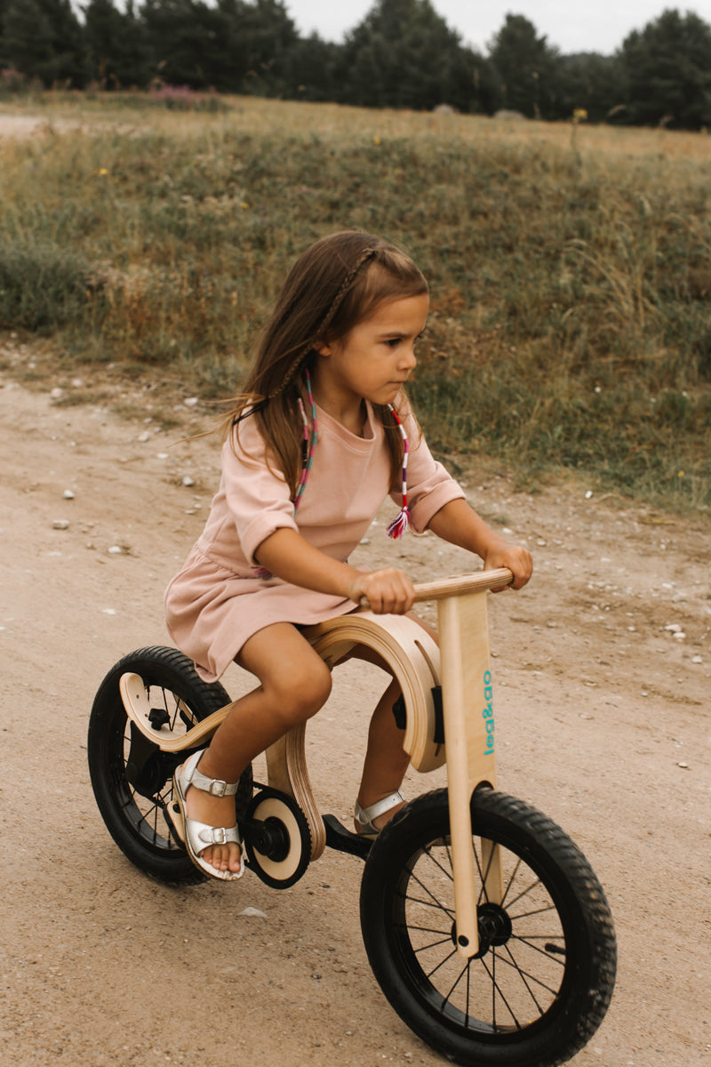 Pedal Bike Add-on