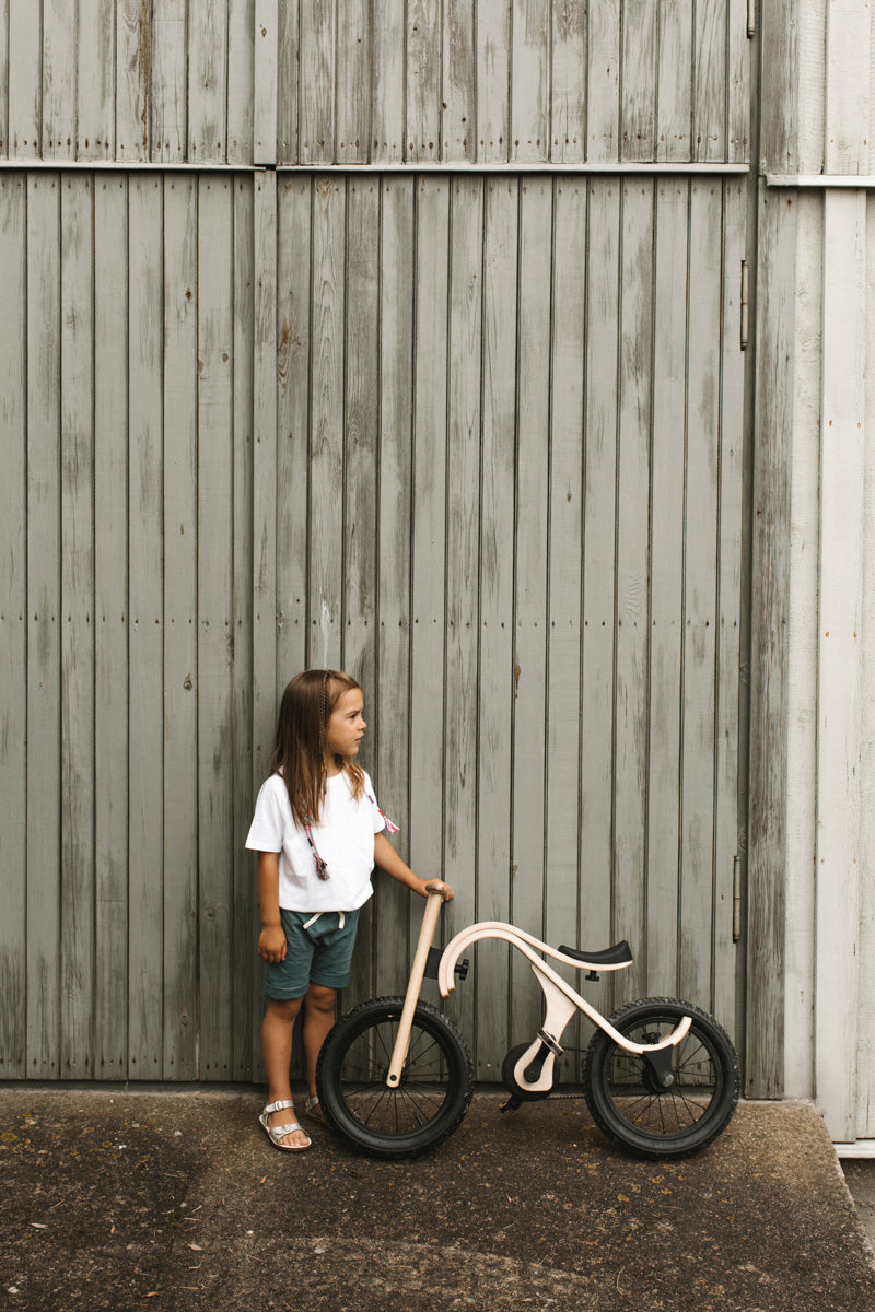 Pedal Bike Add-on