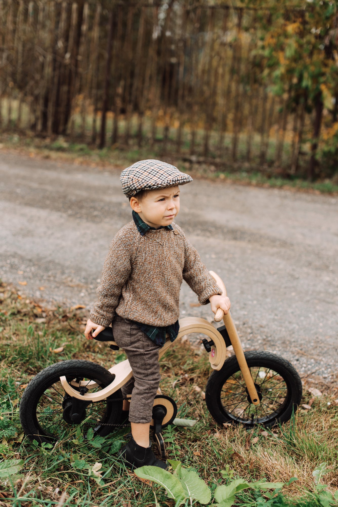 Pedal Bike Add-on